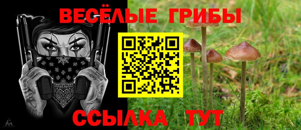 продажа наркотиков  Вход с VPN  Арсеньев  Псилоцибиновые грибы MAGIC MUSHROOMS 